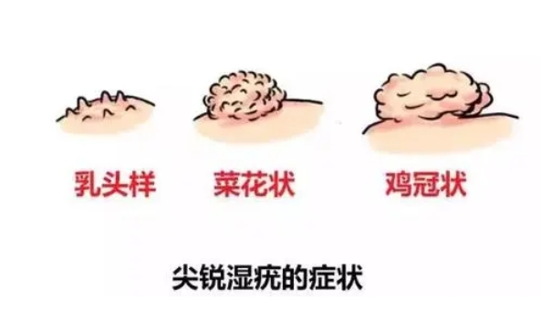 微信截图_20230916145945